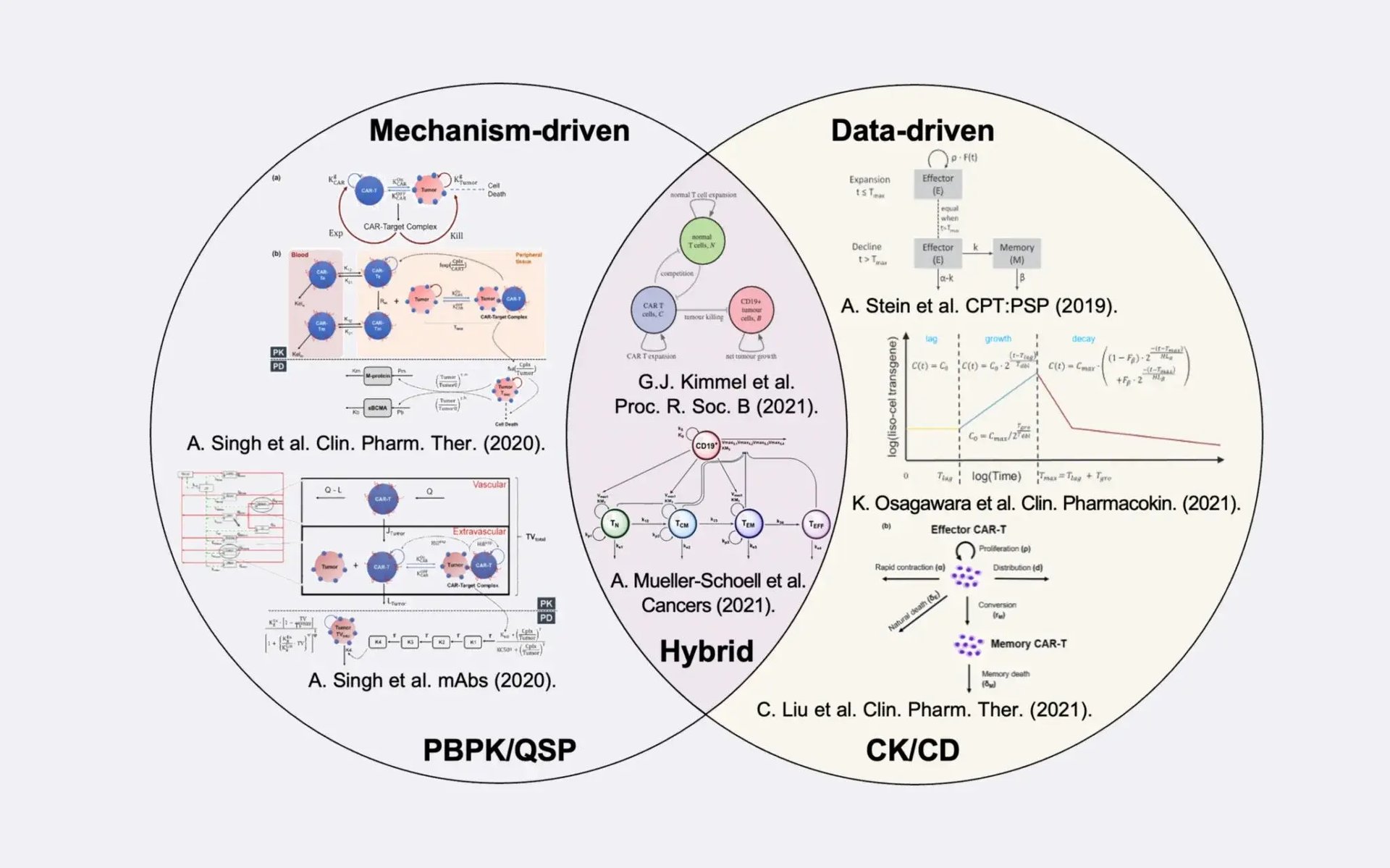 Optimizing CAR-T cell exposure